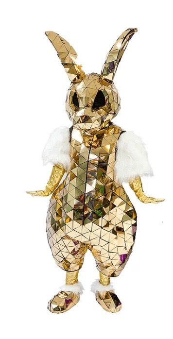 aniversare copii cluj