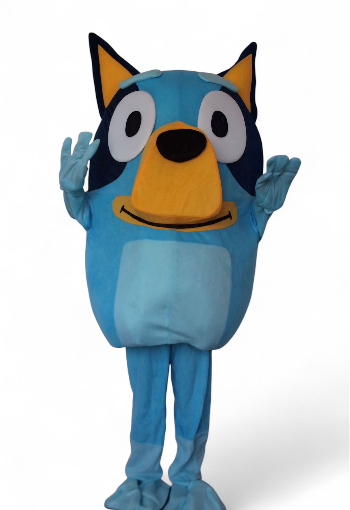 petreceri copii cluj